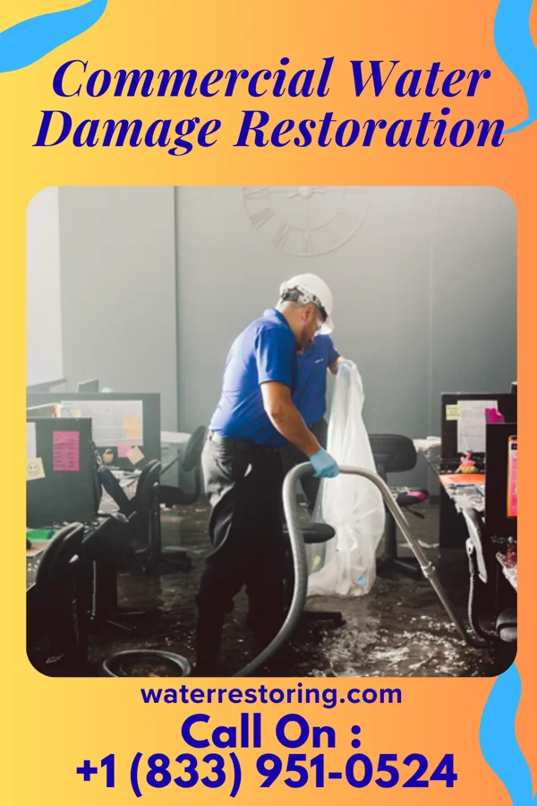 Commercial Water Damage Restoration in Grape Creek, TX